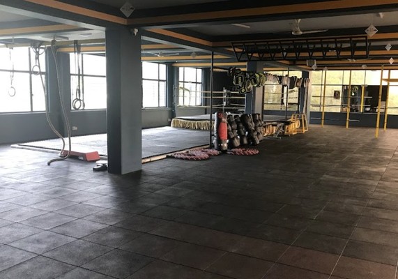 Roar Combat Fitness Muay Thai and MMA Classes banner