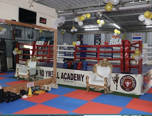 The Rock Bull Academy Of Arts Banner