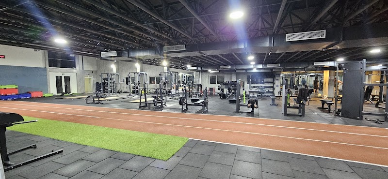 Gallery image