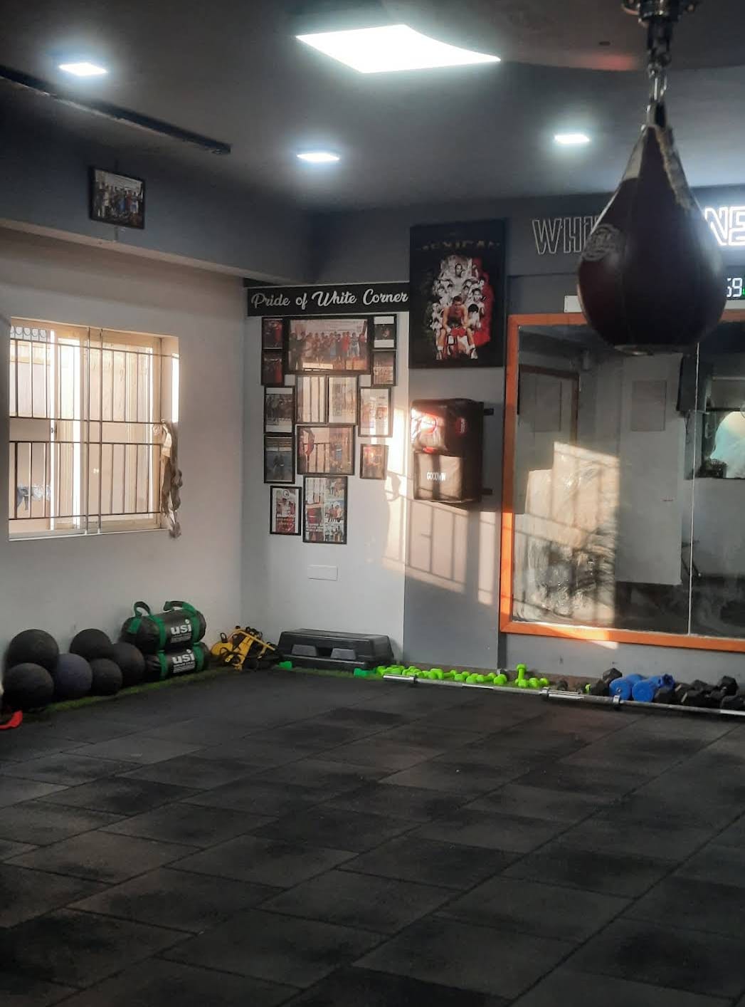 Gallery image